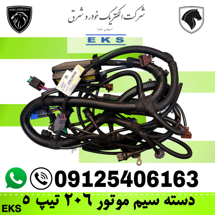 دسته سیم موتور 206تیپ 5 (9671123780) سیم کشی موتور EKS