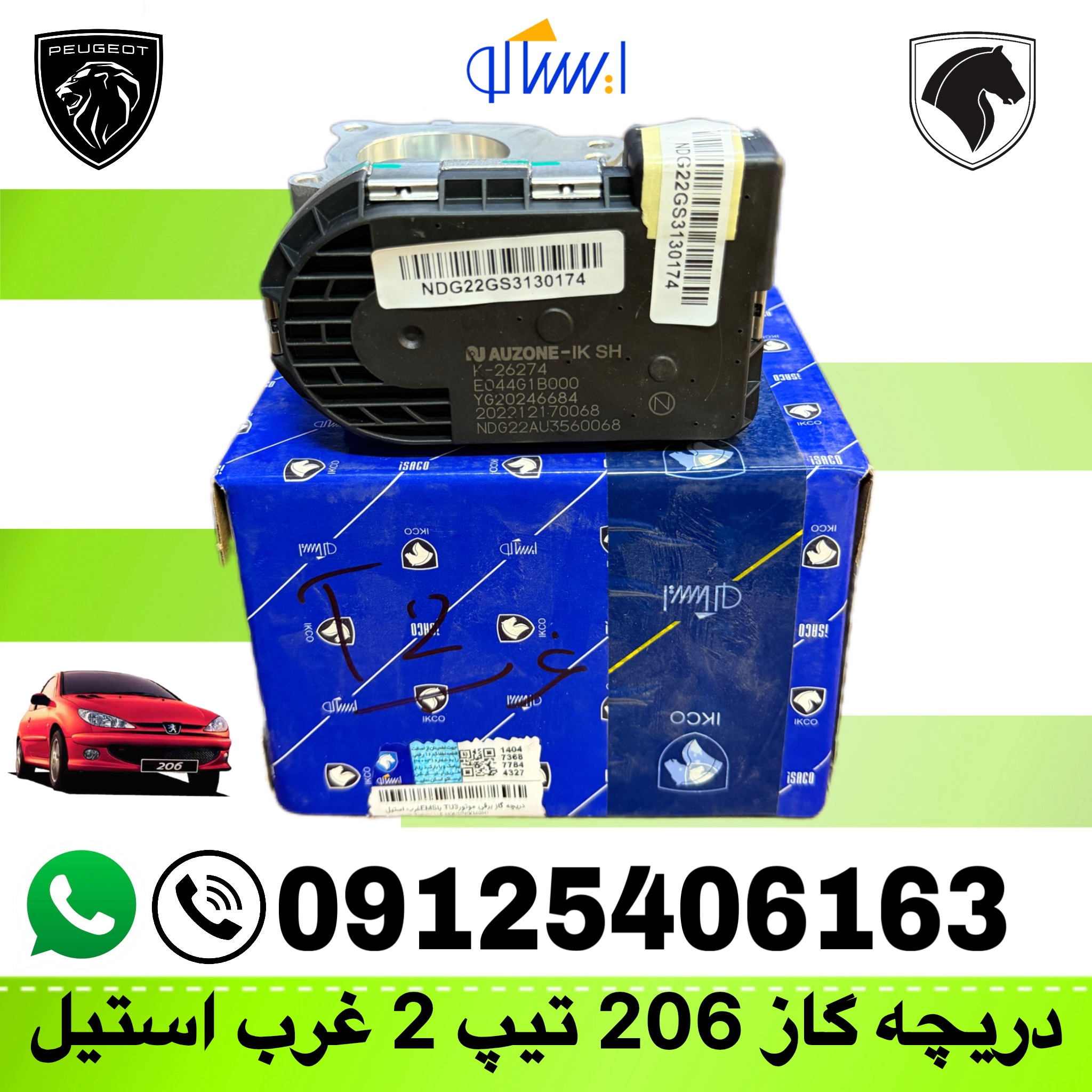 دریچه گاز برقی ۲۰۶ تیپ۲و۳ غرب استیل ایساکو